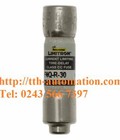 Hình ảnh: Cầu chì bussmann FNQ R 30