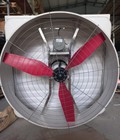 Hình ảnh: Quạt composite cánh đỏ