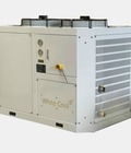 Hình ảnh: Máy làm lạnh nước 10hp Model: WHC G10S