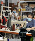 Hình ảnh: Dây miu mộc đầu kẹp kim cao cấp, bảo hành 2 năm
