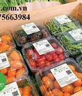 Hình ảnh: Địa chỉ bán hộp nhựa trái cây 500g giá cạnh tranh nhất Đà Lạt