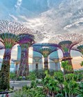 Hình ảnh: Tour Du lịch Singapore