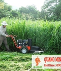 Hình ảnh: Dịch vụ cắt cỏ giá rẻ nhất Hồ Vhis Minh 