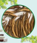 Hình ảnh: Củ bạch hộ tại nhà an toàn