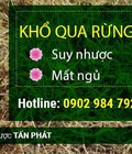 Hình ảnh: Vị thuốc từ khổ qua rừng chất lượng