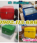 Hình ảnh: Thùng giao hóa mỹ phẩm sau xe honda, thùng giao hàng dữ nhiệt sau xe máy, thùng giao hàng tiếp thị, thùng giao thức ăn n