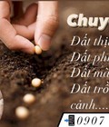 Hình ảnh: Báo giá đất màu trồng cây, đất trồng ở Hồ Chí Minh 