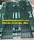 Hình ảnh: Phân phối pallet nhựa tại Đồng Nai với giá siêu rẻ, liên hệ 0932943488 24/7