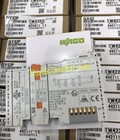Hình ảnh: Module Wago 750 613 Cty Thiết Bị Điện Số 1