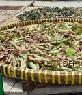 Hình ảnh: Cây lược vàng uy tín chất lượng