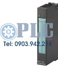 Hình ảnh: Module Siemens 6ES7135 4LB02 0AB0
