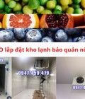 Hình ảnh: Thi công kho lạnh bảo quản nông sản giá tốt