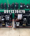 Hình ảnh: Lên hoàn thiện cụm máy nén 5hp CRNQ 0500 cho kho lạnh