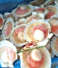 Hình ảnh: Sò Điệp Nhật Nửa Mảnh New Fresh Foods