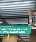 Hình ảnh: Thang máy nhỏ gọn nhất 2022