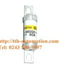 Hình ảnh: Cầu chì hinode 660GH 80UL