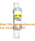 Hình ảnh: Cầu chì hinode 660GH 100UL