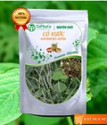 Hình ảnh: Bán cây cỏ xước ở đâu tại TPHCM