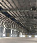 Hình ảnh: Cho thuê kho xưởng 15.000m2 KCN Tân Đức, Đức Hòa, Long An, giá rẻ nhất kcn Tân Đức