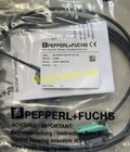 Hình ảnh: Cảm biến Pepperl Fuchs ML100 8 H 350 RT/102/115 Cty Thiết Bị Điện Số 1
