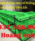 Hình ảnh: Khay nhựa hở, khay nhựa hình chữ nhật đựng rau củ,sọt nhựa HS008