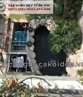 Hình ảnh: Dịch vụ chuyên nghiệp về cá Koi ở BRVT