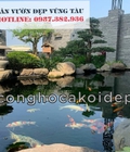 Hình ảnh: Bão dưỡng chăm sóc hồ cá Koi