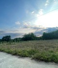 Hình ảnh: Bán lô đất Vườn trong khu bàn cờ Thôn 1 Diên Đồng D.Khánh