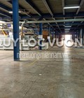 Hình ảnh: Cho thuê bán xưởng 6.300m2 trong KCN Hài Mỹ, Thuận An