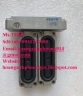 Hình ảnh: Xi lanh FESTO EV 20/75 5