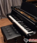 Hình ảnh: Mách bạn những mẫu đàn piano giá rẻ cho người mới học