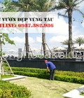 Hình ảnh: Dịch vụ chăm sóc cây xanh Resort ở BRVT