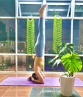 Hình ảnh: Yoga trị liệu tại Thủ Đức và những lợi ích