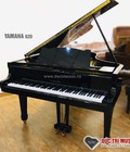 Hình ảnh: So sánh đàn piano: Yamaha vs Kawai Đức Trí Music