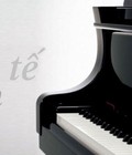 Hình ảnh: Thay búa đàn piano Đức Trí Music