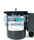 Hình ảnh: Motor Điện Oriental 5IK40GN SW2