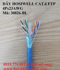 Hình ảnh: Cáp mạng LAN chống nhiễu Hosiwell Cat.6 FTP 4 Pair x 23AWG