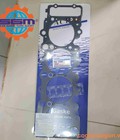 Hình ảnh: Gioăng quy lát động cơ D700P