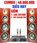 Hình ảnh: Bộ Dàn karaoke gia đình cao cấp 49.000.000đ