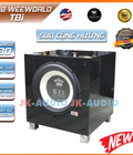 Hình ảnh: Loa sub cộng hưởng Weeworld T8i