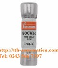 Hình ảnh: Cầu chì bussmann FNQ 30