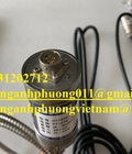 Hình ảnh: Cảm biến Sand PT127B 30MPa M22 80/1000