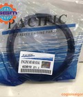 Hình ảnh: Phớt trục cơ cốt máy 6DB10