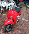 Hình ảnh: Xe tay Ga 50cc Dibao Creer 2022