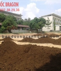 Hình ảnh: Mua đất sạch trồng cây chất lượng giá rẻ KV Đồng Nai, HCM