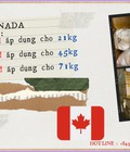 Hình ảnh: Nhận gửi các mặt hàng đi Canada,Mỹ, Úc, Malaysia, Singapore, Đài , Hàn,