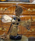 Hình ảnh: Quạt Marelli cánh đồng, lồng đồng hoa