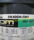 Hình ảnh: Động cơ giảm tốc Oriental Motor 1p/ 40w 5Ik40gN cw Cty Thiết Bị Điện Số 1