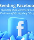 Hình ảnh: Seeding bài viết livestream Tự Động