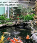 Hình ảnh: Chi phí làm hồ cá Koi uy tín KV HCM, Đồng Nai